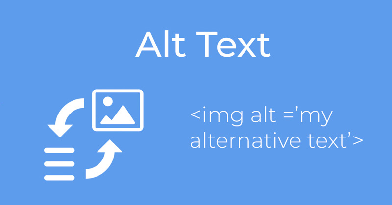 Alt Text là gì? Cách chèn alt text cho hình ảnh chuẩn SEO