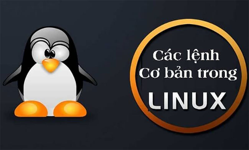 Tổng hợp các lệnh cơ bản trong Linux ai cũng nên biết