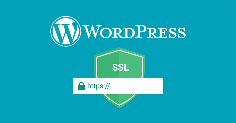 Hướng dẫn chi tiết cách cài đặt SSL miễn phí cho Wordpress