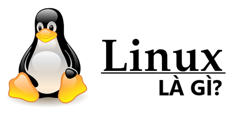 Hệ điều hành Linux là gì? Ưu và nhược điểm của Linux