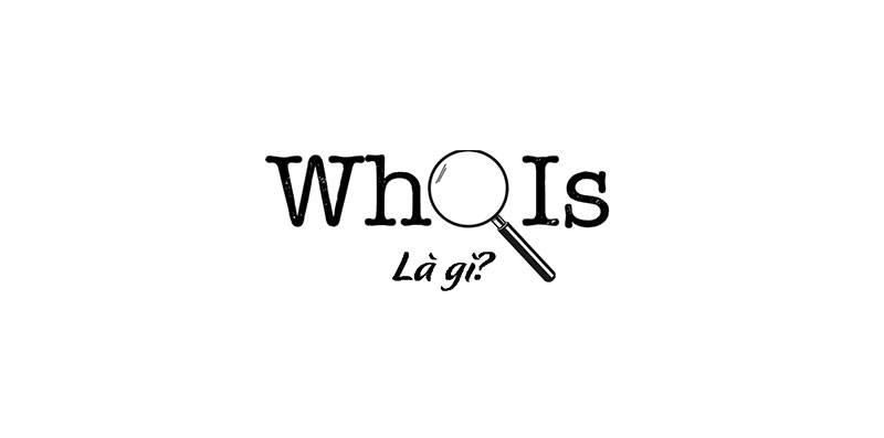 Whois là gì? Tra cứu thông tin tên miền đơn giản với whois